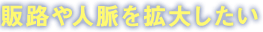 人材採用や育成をしたい